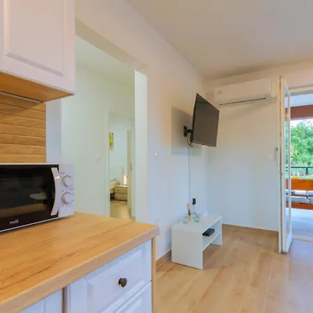 Stocozzi - No Parties Allowed