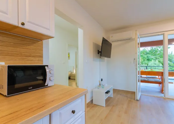 Stocozzi - No Parties Allowed